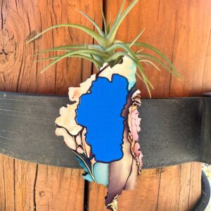 TRT Magnetic Air Plant Holder