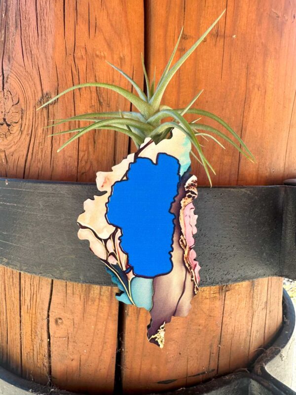 TRT Magnetic Air Plant Holder